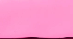 swatch_Pink swim zip pouch