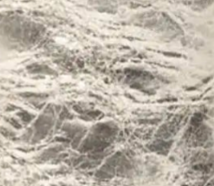 swatch_Platino Leather ankle boot