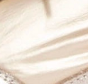swatch_Platino l'idea metallic double lace sneaker
