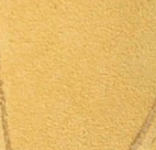 swatch_Pollen/White elan sneaker gola