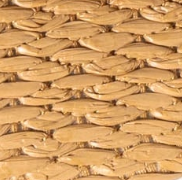 swatch_Raffia steve madden montgomery slide sandal