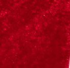 swatch_Red Velvet Katia wedge 