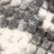 swatch_Roccia Snake dress sandal