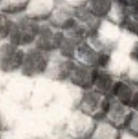 swatch_Roccia Snake dress sandal