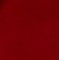 swatch_Ruby Leather angel alarcon claudia flip flop sandal