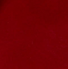 swatch_Ruby Leather angel alarcon claudia flip flop sandal