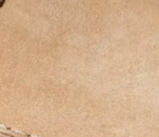 swatch_sand suede suede penny loafer flat shoes