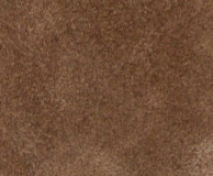 swatch_Sesame Suede ankle boot