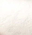 swatch_Silver urban expressions sahara clutch