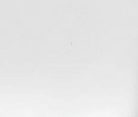 swatch_Silver jeffrey campbell socialz wedge sandal