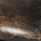 swatch_Smokey/Black nene platform boot