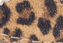 swatch_Snow Leopard oncept essex sneaker