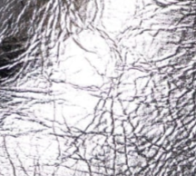 swatch_Steel Leather ankle boot