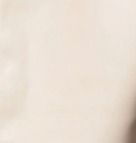 swatch_Stone blank nyc cloud dancer jacket