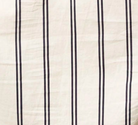swatch_Sugar Navy perfect white tee gisele button down shirt