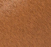 swatch_Tan Haircalf matisse miramar clog sandal