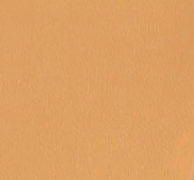 swatch_Tan wishlist flip flop flat sandals