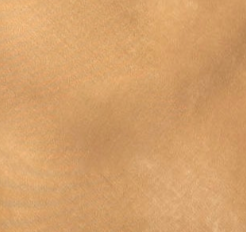 swatch_Tan/Black sanctuary everyday satin lace mini skirt