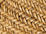 swatch_neutrals adorned platform sandal heeled sandals