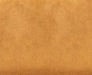 swatch_Tan tori crossbody bag