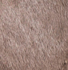 swatch_Taupe Haircalf bibi lou lyra loafer mule