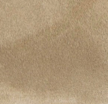 swatch_Taupe Suede birkenstock tokio clog