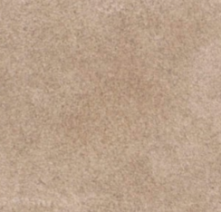 swatch_Taupe Suede steve madden fern clog