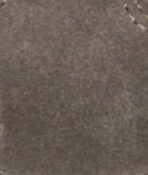 swatch_Taupe Suede mavis sneaker