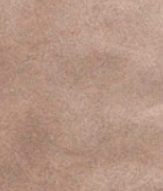 swatch_Taupe Suede bibi lou kael combat boot