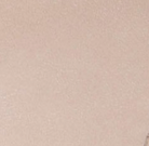 swatch_Taupe vegan leather charra flat sandal