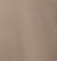 swatch_Taupe favorite daughter the everything satin pant