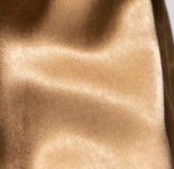 swatch_Toasted Coconut sanctuary satin lace shorts