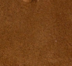 swatch_Tobacco Suede angel alarcon adina thong sandal