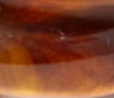 swatch_Tortoise lucas jack resin and tiger eye statement ring