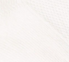 swatch_White le bon shoppe ballet socks