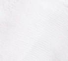 swatch_ivory le bon shoppe girlfriend socks