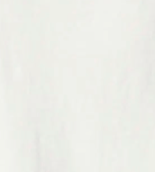 swatch_neutrals capri tee apparel