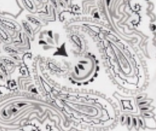 swatch_White bandana head scarf