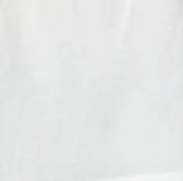 swatch_white organic cotton tee apparel