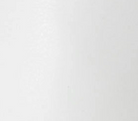 swatch_White/Silver silent d burrel sneaker