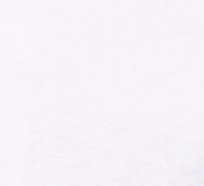 swatch_White sunny somewhere cherries tiny tee
