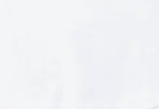 swatch_white ginger button down apparel