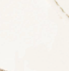 swatch_white sasha sneaker shoes