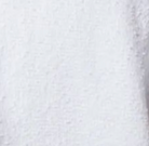 swatch_white dani short apparel