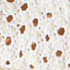 swatch_neutrals nola espadrille wedge espadrilles