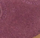 swatch_Windsor Wine cyclone sneaker shoes gola