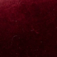 swatch_wine velvet mary jane