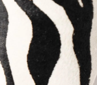 swatch_Zebra Haircalf angel alarcon tiyu flat