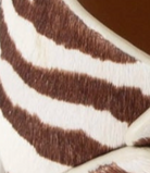 swatch_Zebra Mix 4ccccees plia juno platform sandal