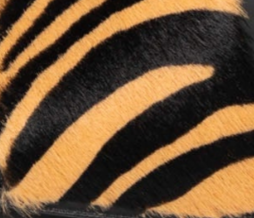 swatch_Zebra jeffrey campbell tetra heeled sandal